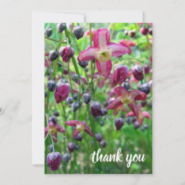 Anúncio Graduação de Fotos de Flores e Buds bonito Obrigad