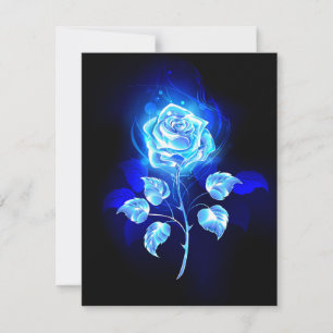 Anúncio Gravação de Rosa Azul