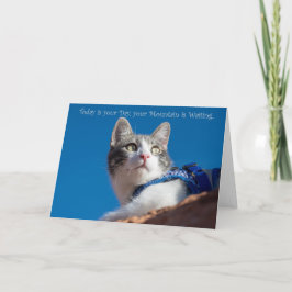 Anúncio Hoje é o seu dia, senhor