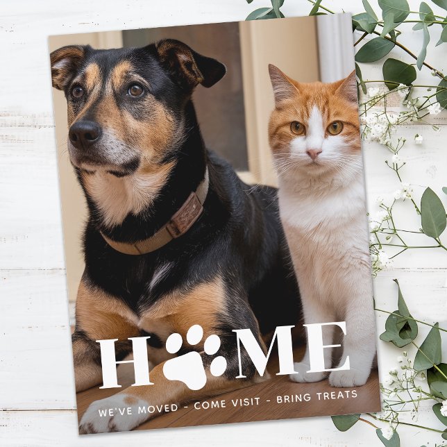 Anúncio Home Pet Photo (Foto da Pet Home) Movimentamos o n (Criador carregado)