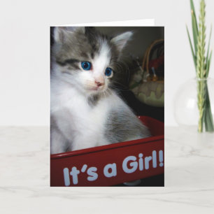Anúncio ITS A GIRL =^o^=