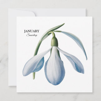 Anúncio Jan Snowdrop Bloom - Presente Personalizado