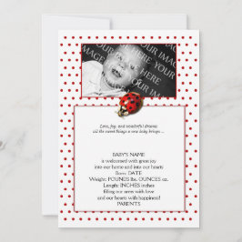 Anúncio Ladybug no lançamento do Red Bolinhas Frame Baby