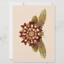 Lanterna Fly e Butterfly Mandala