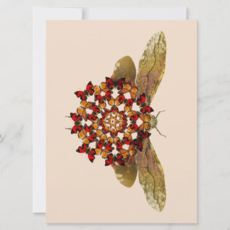 Anúncio Lanterna Fly e Butterfly Mandala