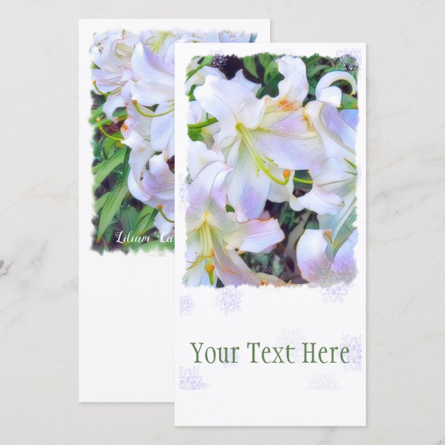 Anúncio Lilium "Casa Blanca" [Cartão de Guia Simples] (Frente/Verso)