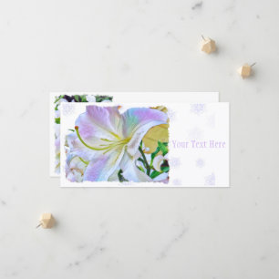 Anúncio Lilium ‘Casa Blanca’ [Cartão-guia plano] 案 