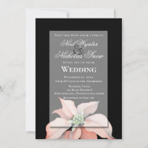 Magia de Natal/ Flor de Poinsettia/ Casamento Negr