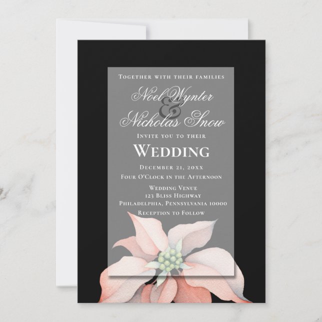 Anúncio Magia de Natal/ Flor de Poinsettia/ Casamento Negr (Frente)