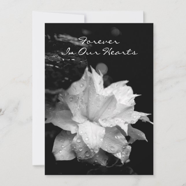 Anúncio memorável fúnebre dos Dewdrops do Clematis (Frente)