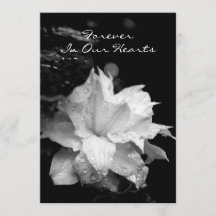 Anúncio memorável fúnebre dos Dewdrops do Clematis