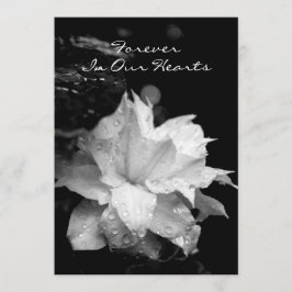 Anúncio memorável fúnebre dos Dewdrops do Clematis