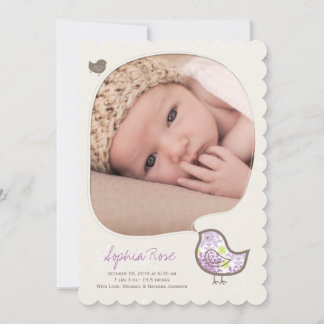 Anúncio Menina Bebê Foto Nascimento Lilás Damask Caprichos