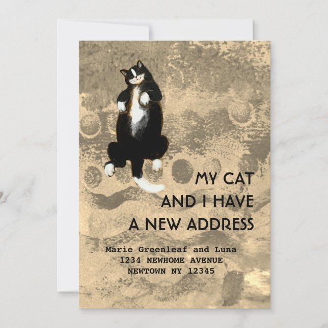 Anúncio Meu gato e eu nos mudamos (Frente)