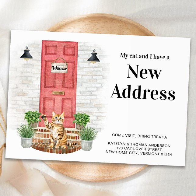 Anúncio Meu Gato e eu novo endereço Porta de Gato Laranja  (Criador carregado)