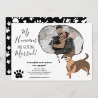 Meus Humanos se casando com uma foto engraçada do