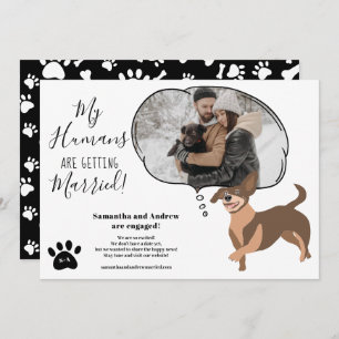 Anúncio Meus Humanos se casando com uma foto engraçada do