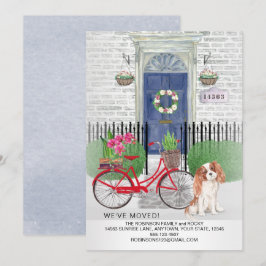 Anúncio Movendo o Cavaleiro Rei Charles Bicicleta Nova Cas