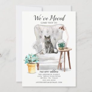 Anúncio movente do gato britânico de Shorthair