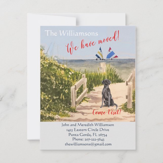 Anúncio Movimentamos a praia do Cachorro (Frente)