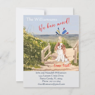 Anúncio Movimentamos a praia do Cachorro