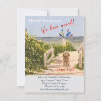 Movimentamos a praia do Cachorro