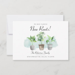 Anúncio Movimentamos Novas Raízes Botânicas