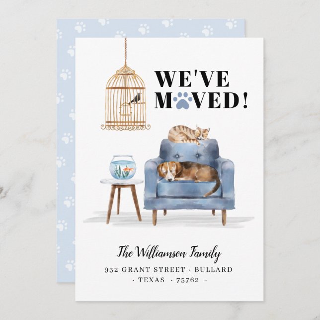 Anúncio Movimentamos Novo Cachorro Doméstico e Gato Dormin (Frente/Verso)