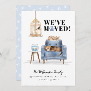 Anúncio Movimentamos Novo Cachorro Doméstico e Gato Dormin