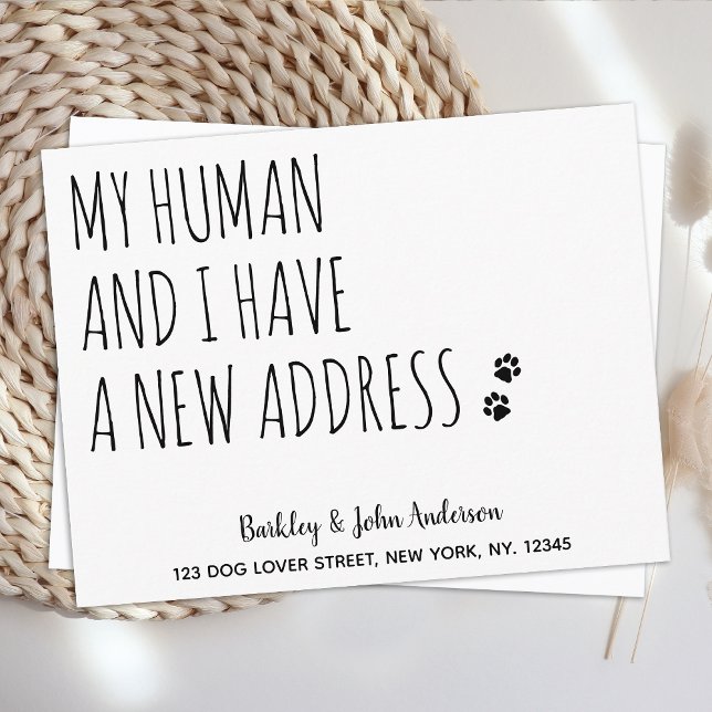 Anúncio Movimentamos Novo Endereço Pet De Cachorro Em Movi (Criador carregado)