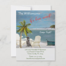 Movimentamos o orçamento da praia do Cão Oceano