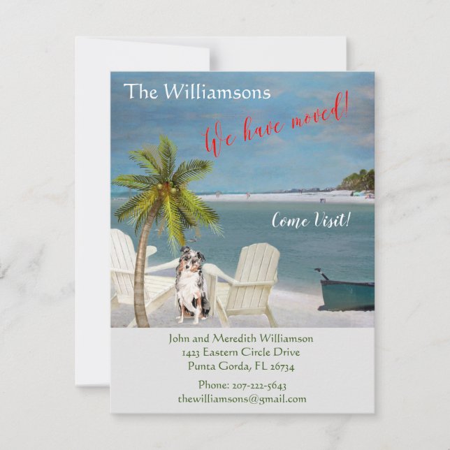 Anúncio Movimentamos o orçamento da praia do Cão Oceano (Frente)