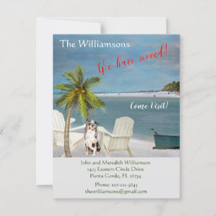 Anúncio Movimentamos o orçamento da praia do Cão Oceano