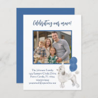 Movimentamos o orçamento de fotos da família Poodl