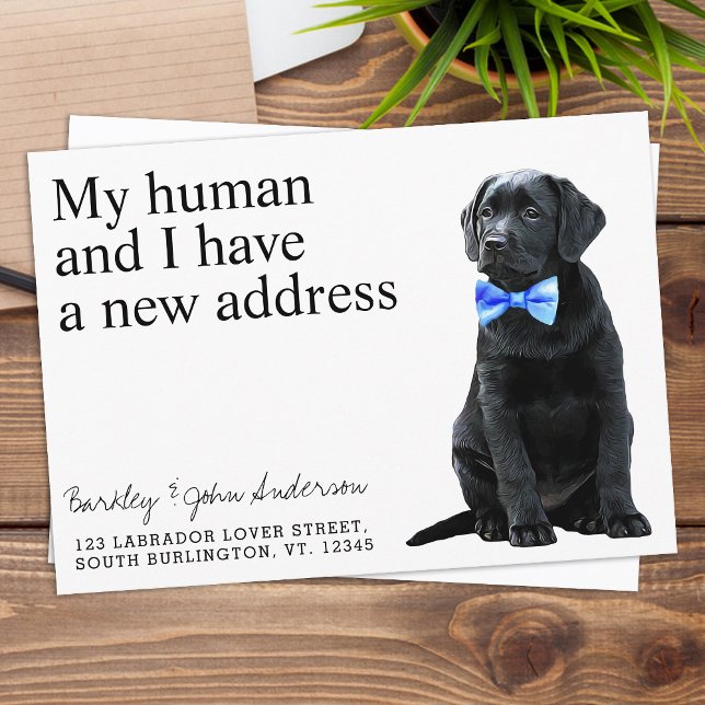 Anúncio Movimento do Cachorro Preto (Criador carregado)