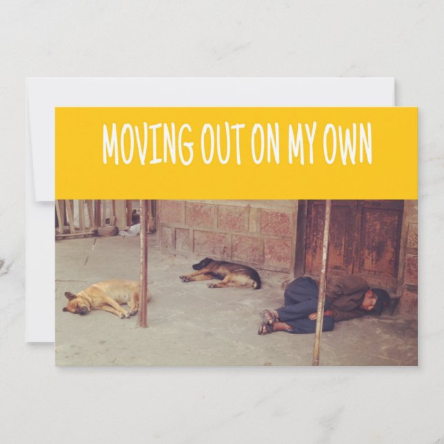 Anúncio Moving Out (Homem e cães na rua) (Frente)