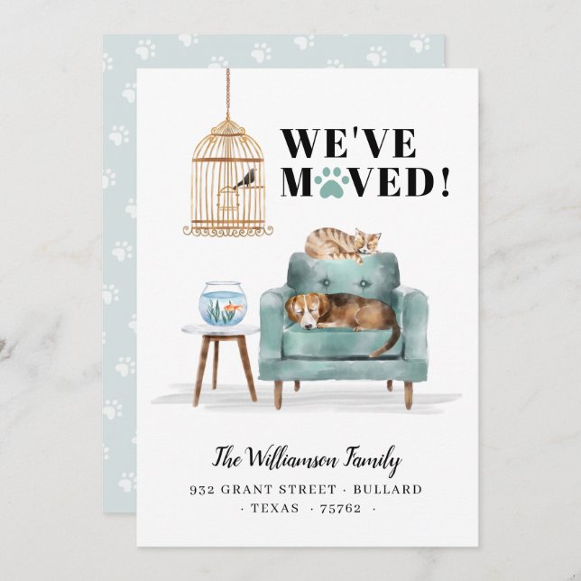 Anúncio Mudamos Novo Cachorro Doméstico e Gato Dormindo So (Frente/Verso)