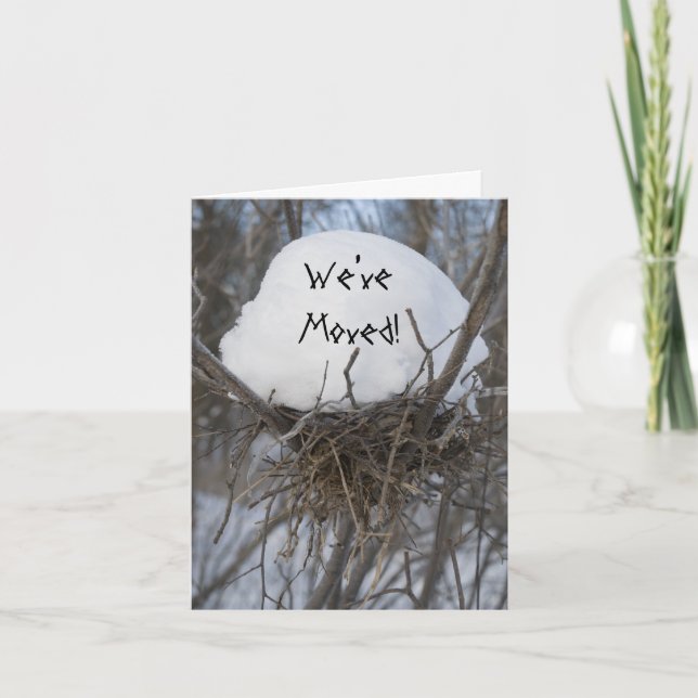 Anúncio Mudança de endereço do ninho de pássaro de inverno (Frente)