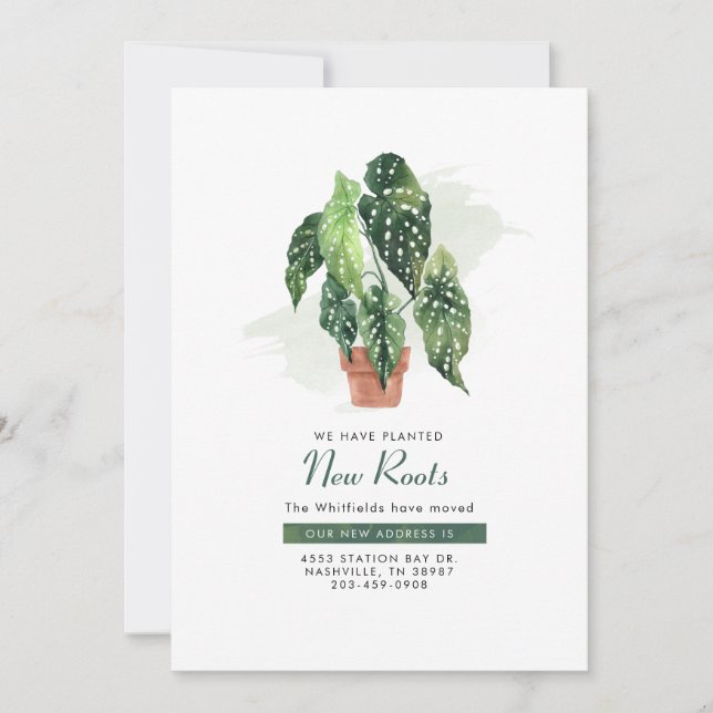 Anúncio Mudança de Endereço Movimentação de Cores d'Água (Frente)