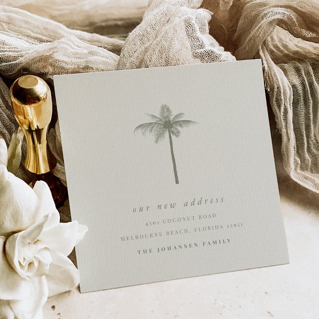 Anúncio Mudança de Palma de Coco Costeiro de Endereço em M (Criador carregado)