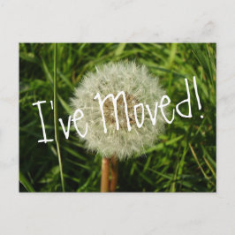 Anúncio Mudei cartão postal com fotografia de Dandelion