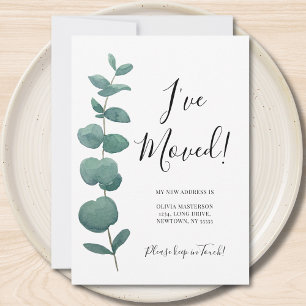 Anúncio Mudei de Endereço Eucalyptus