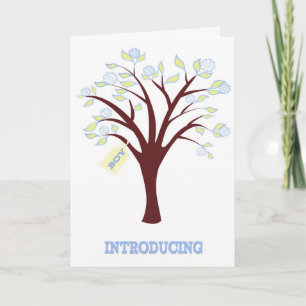 Anúncio New Baby Boy