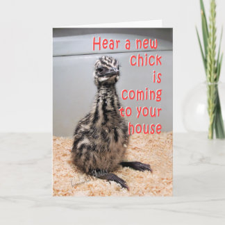 Anúncio New Baby Emu BY 3-z