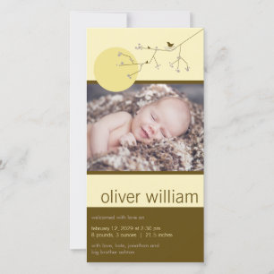 Anúncio Ninho Família de Pássaros Menino ou Menina Foto de