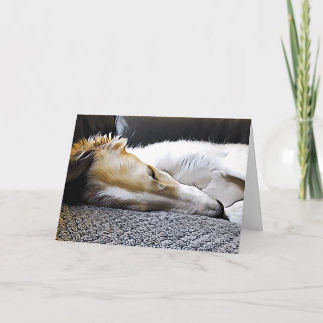 Anúncio Noite de Borzoi (Frente)