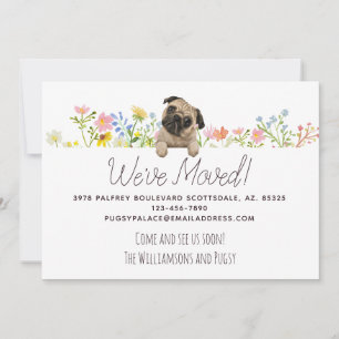 Anúncio Nós nos mudamos! Novo endereço para Pug e Flores