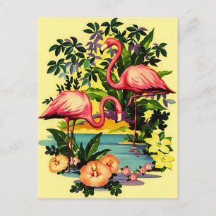 Anúncio Nós temos-me movemos o Piscina-side dos flamingos