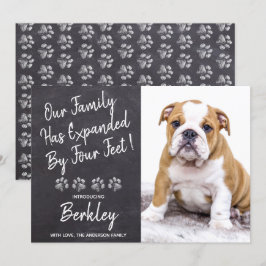 Anúncio Nossa família expandiu-se por 4 pés de novo Cachor