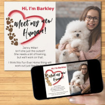 Nova Adoção de Animal de Estimação